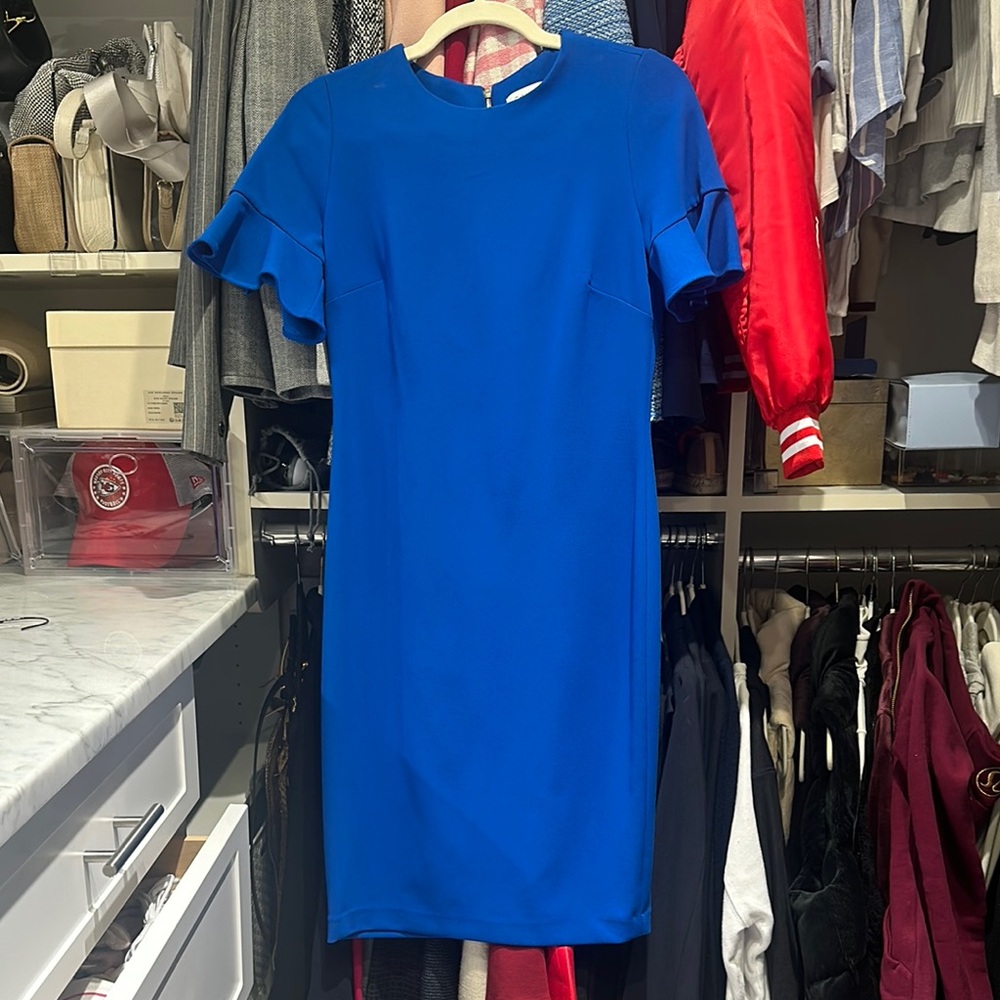 Elegant Blue Ruffle Sleeve Dress